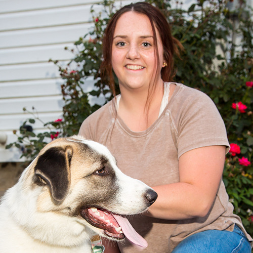 veterinarians staff new haven pet hospital on fort wayne pet hospital staff